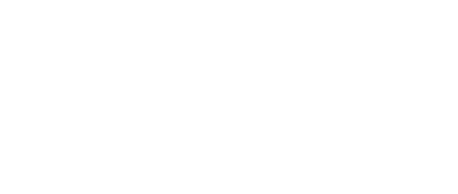 MSF Logo