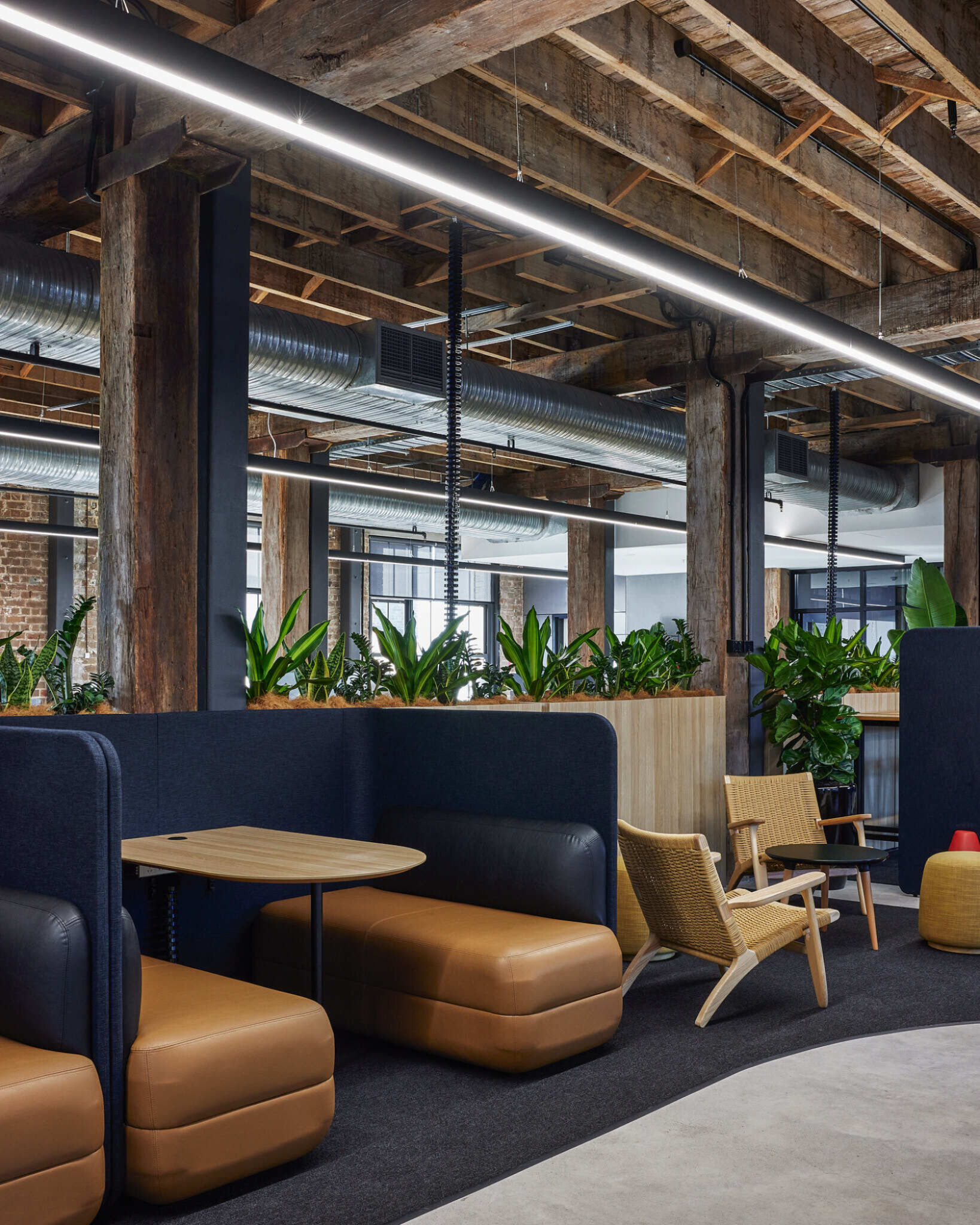 230228 ATT Corp Light Speed 0030