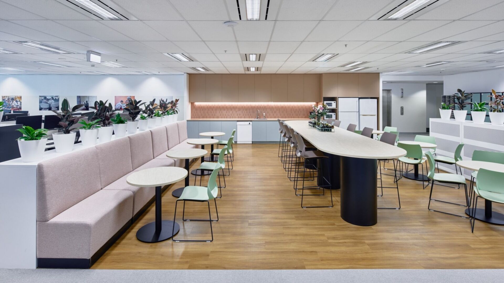 8818ef08 b7a8 4412 8d26 8a5d8704e97d